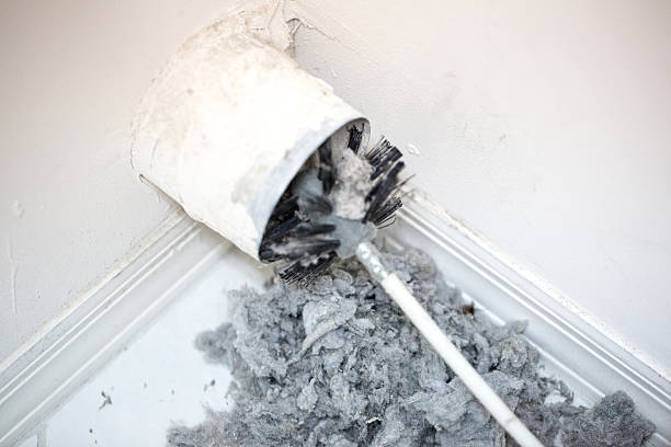 Best Dryer Vent Cleaning Services  in Cayuga Heights, NY